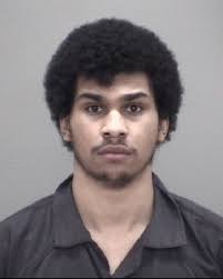 Alexander Lamar Banks Jr. attacked family outside Lansing